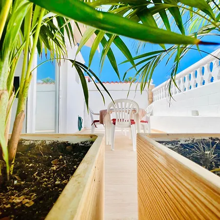 Lavitalsol アデヘ