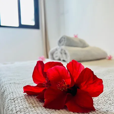 Lavitalsol Apartament Costa Adeje (Tenerife)