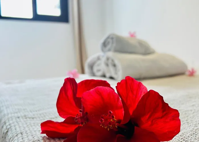 Lavitalsol Apartment Costa Adeje (Tenerife)